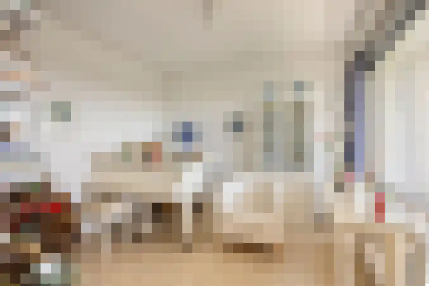 Dreef 138 Gouda thumbnail 8