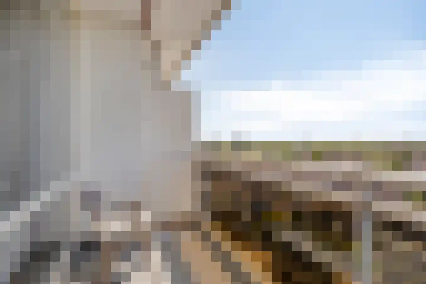 Dreef 138 Gouda thumbnail 9
