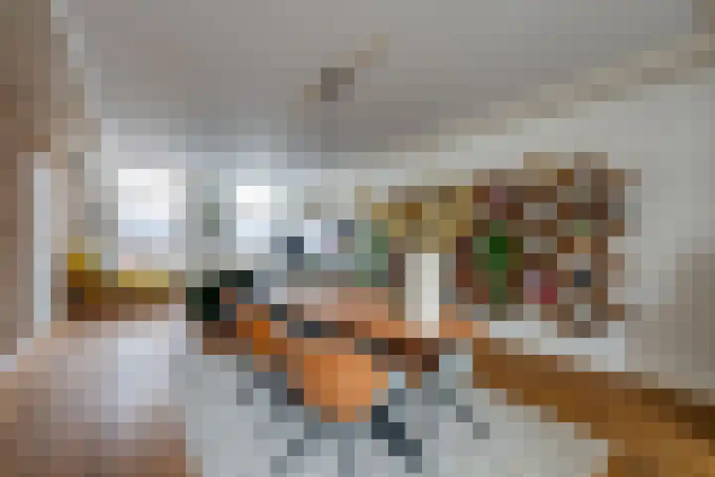 Dreef 14 Breda thumbnail 12