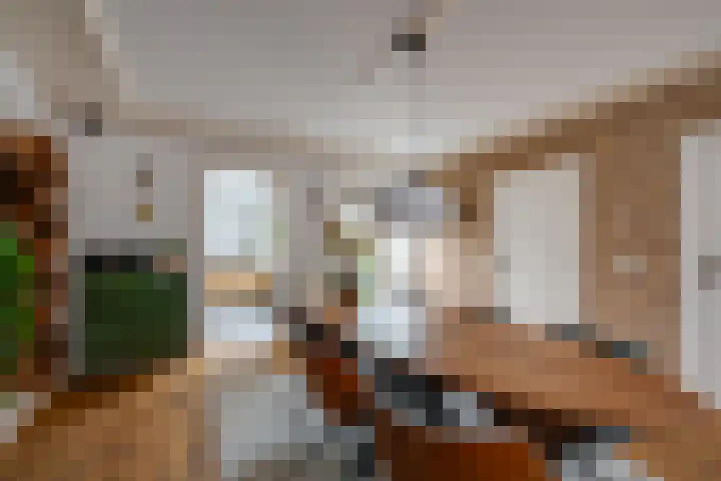 Dreef 14 Breda thumbnail 15