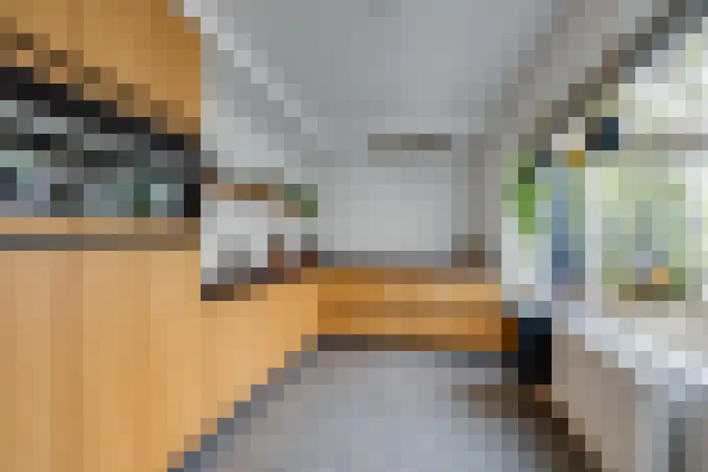 Dreef 14 Breda thumbnail 16