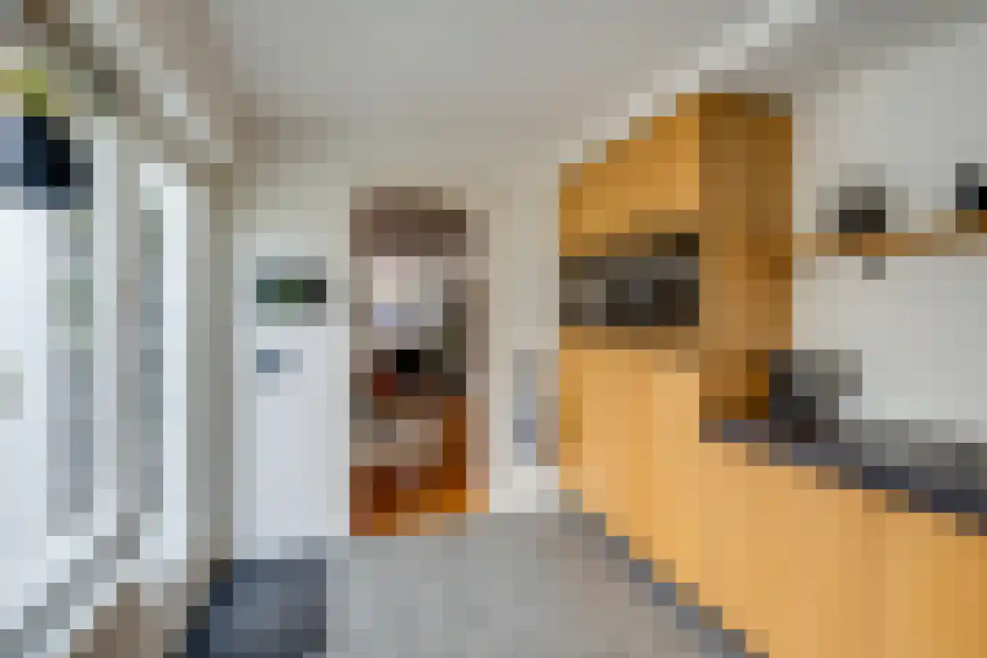 Dreef 14 Breda thumbnail 17