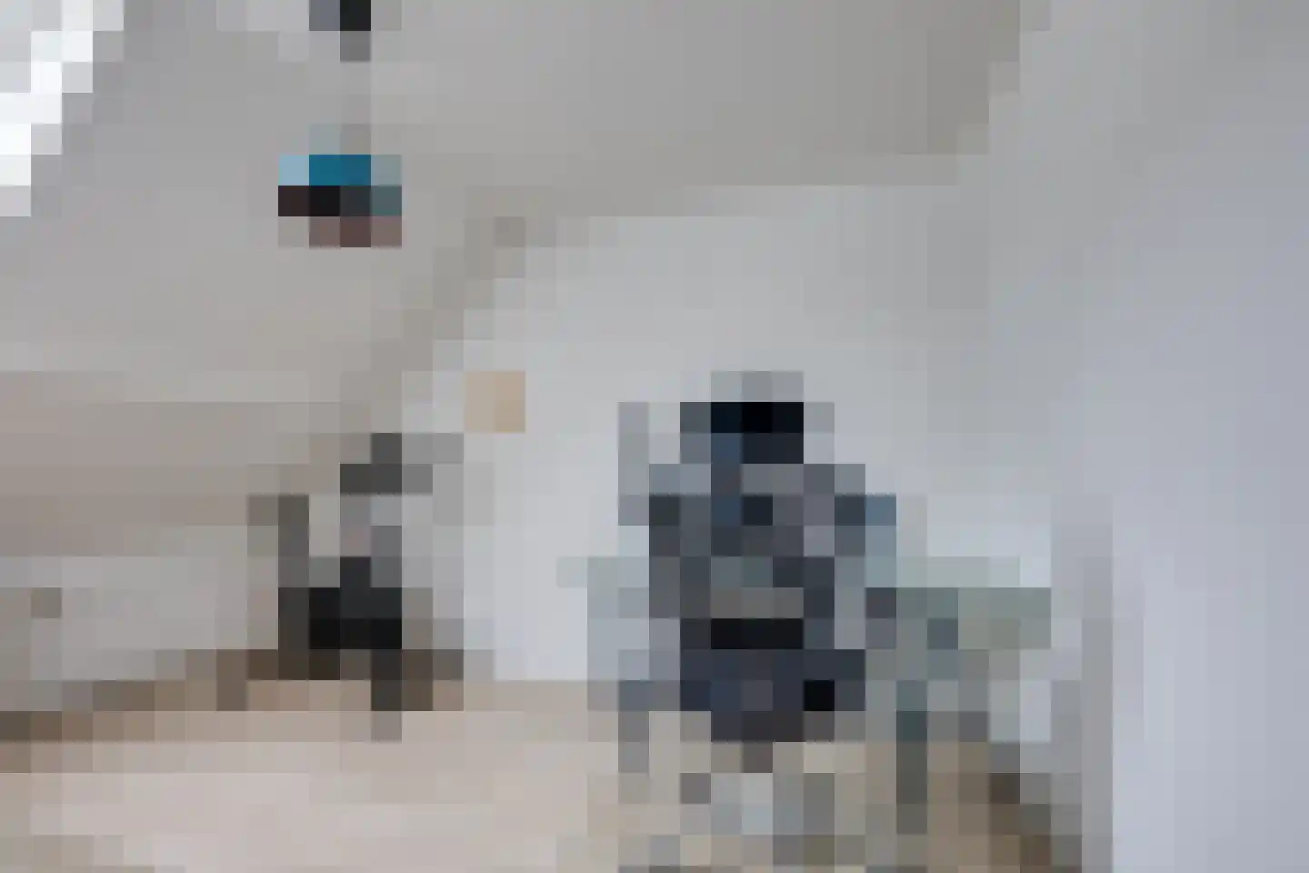 Dreef 14 Breda thumbnail 22