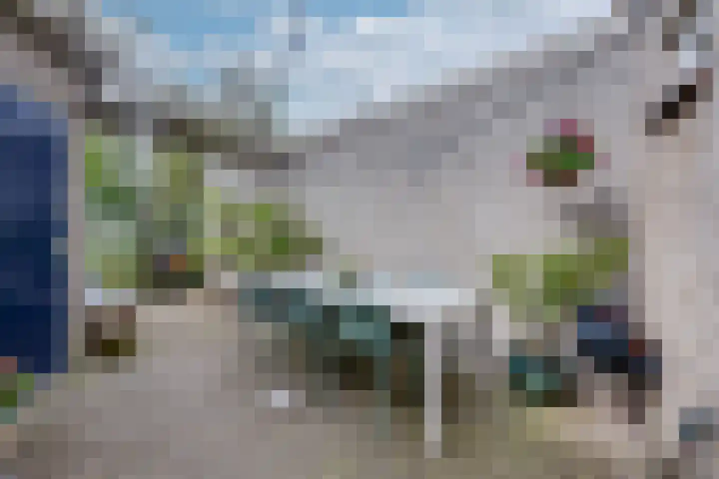 Dreef 14 Breda thumbnail 31