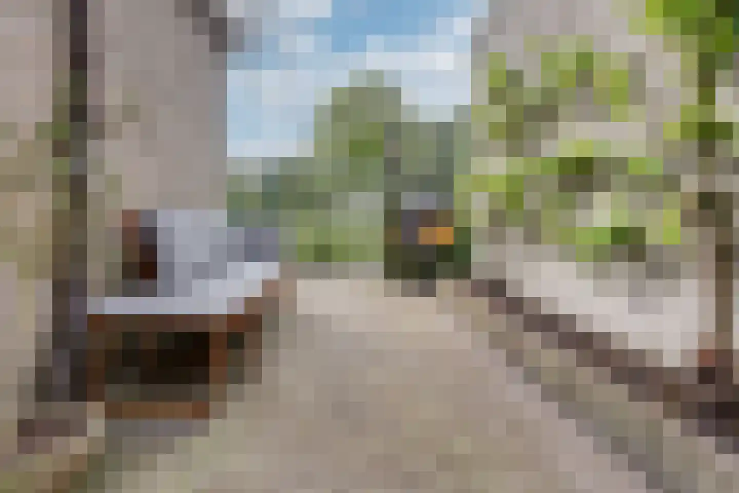 Dreef 14 Breda thumbnail 32