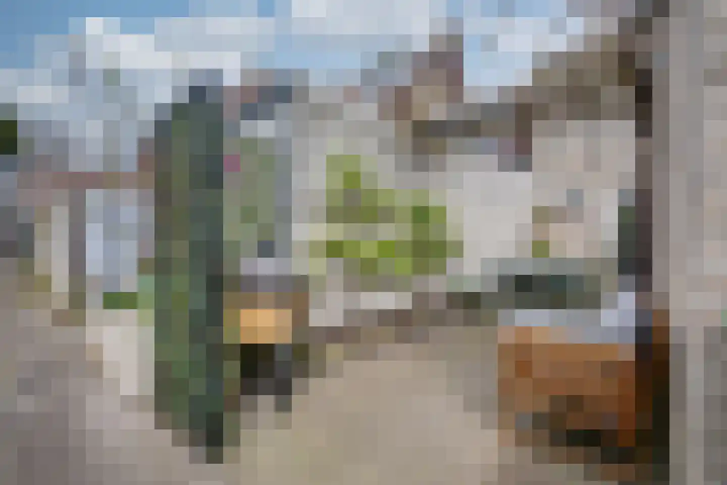 Dreef 14 Breda thumbnail 33