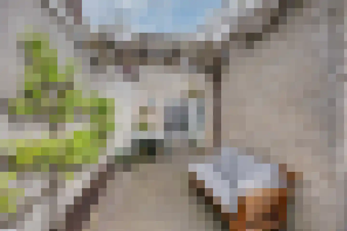 Dreef 14 Breda thumbnail 35