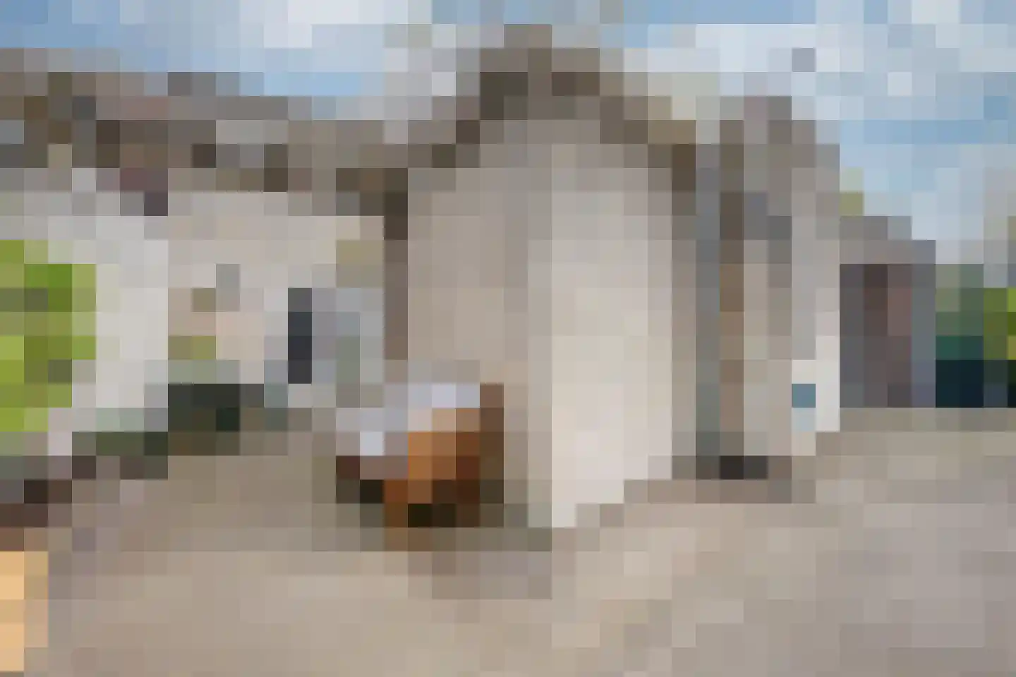 Dreef 14 Breda thumbnail 36