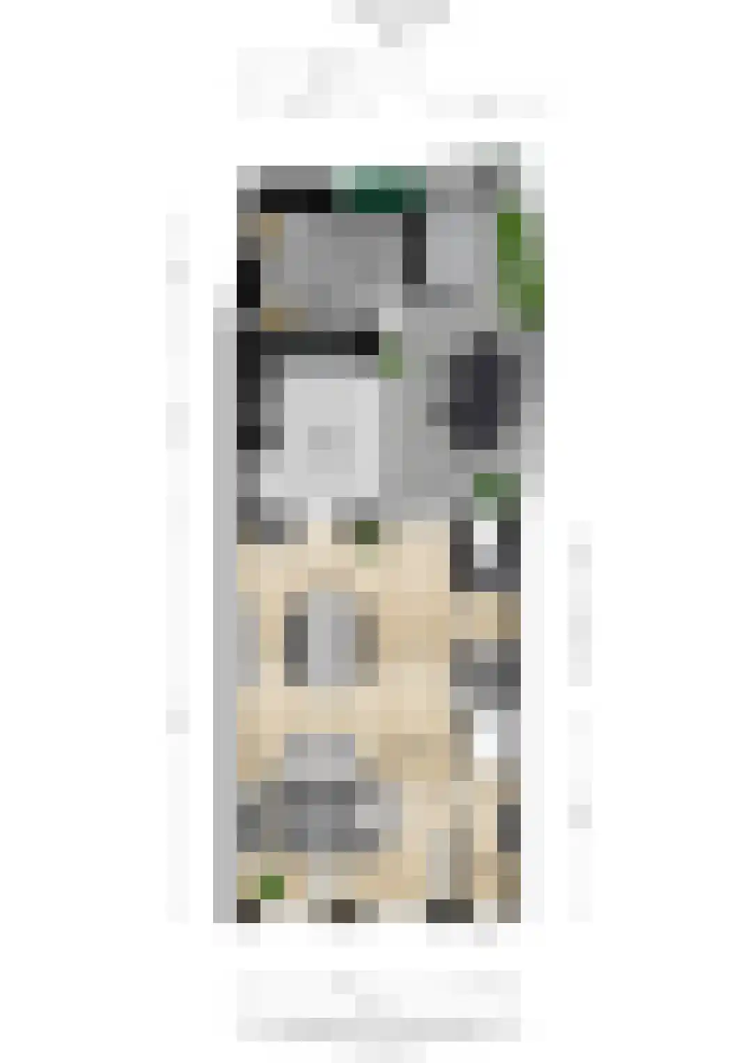 Dreef 14 Breda thumbnail 39
