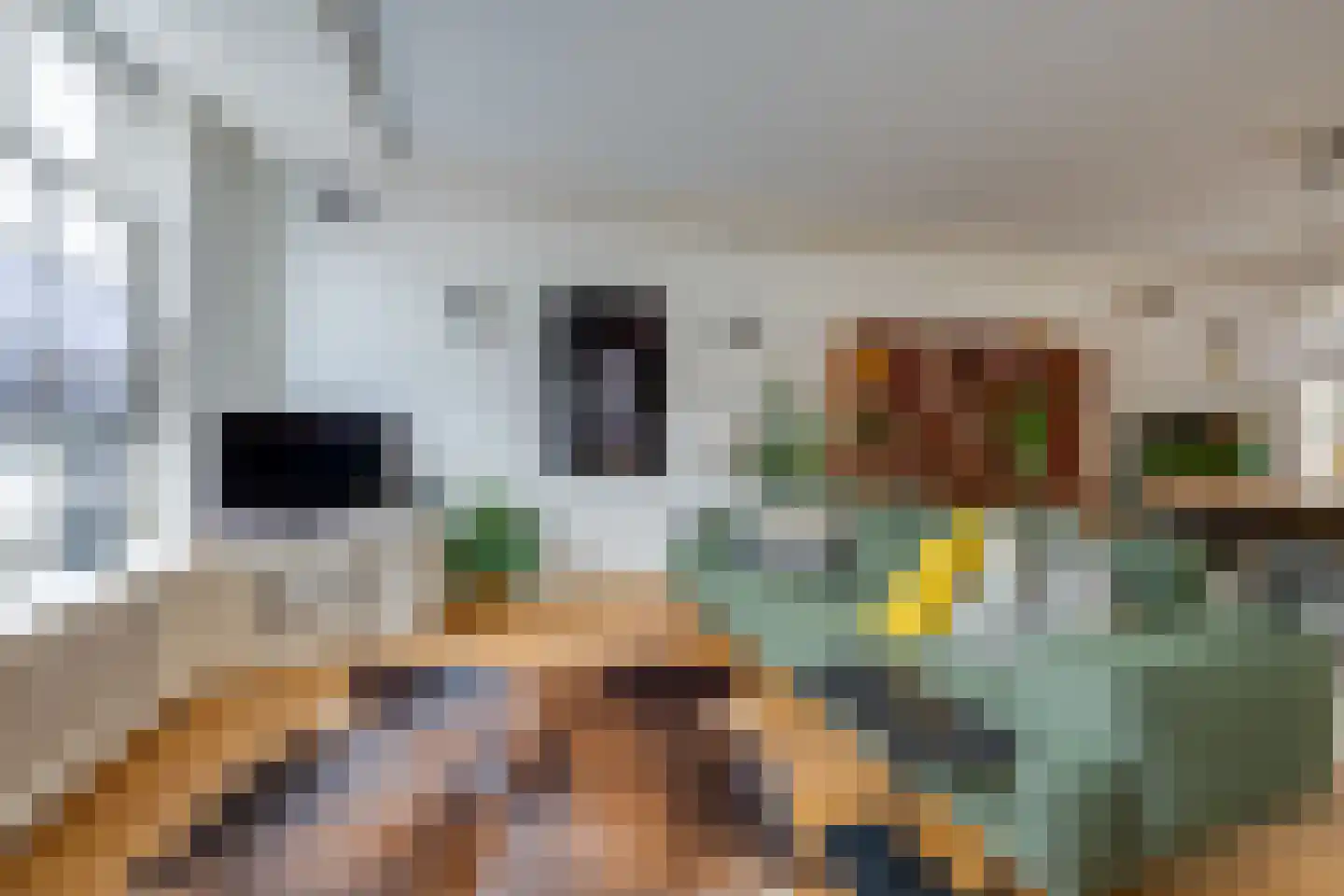 Dreef 14 Breda thumbnail 4