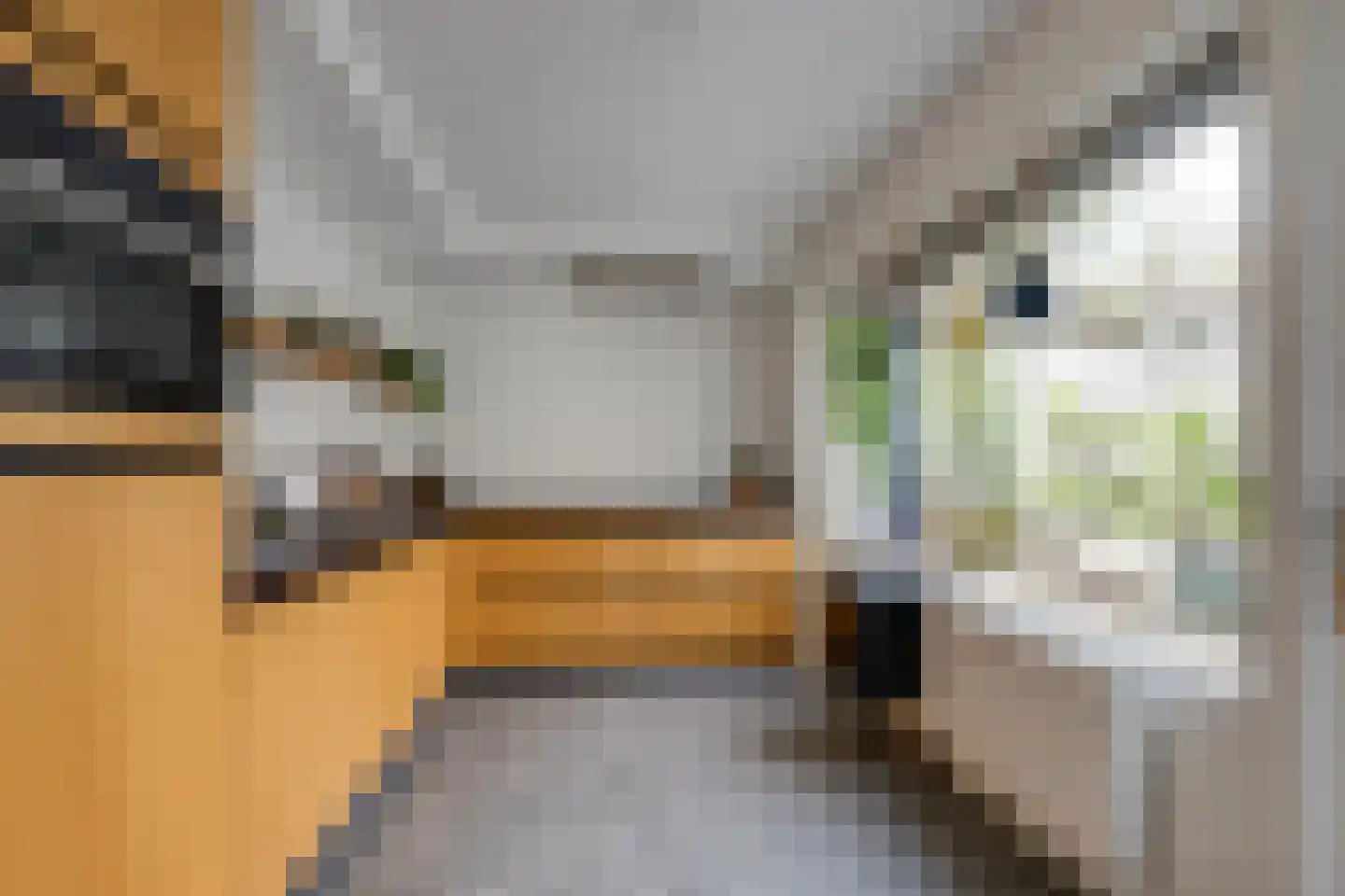 Dreef 14 Breda thumbnail 5