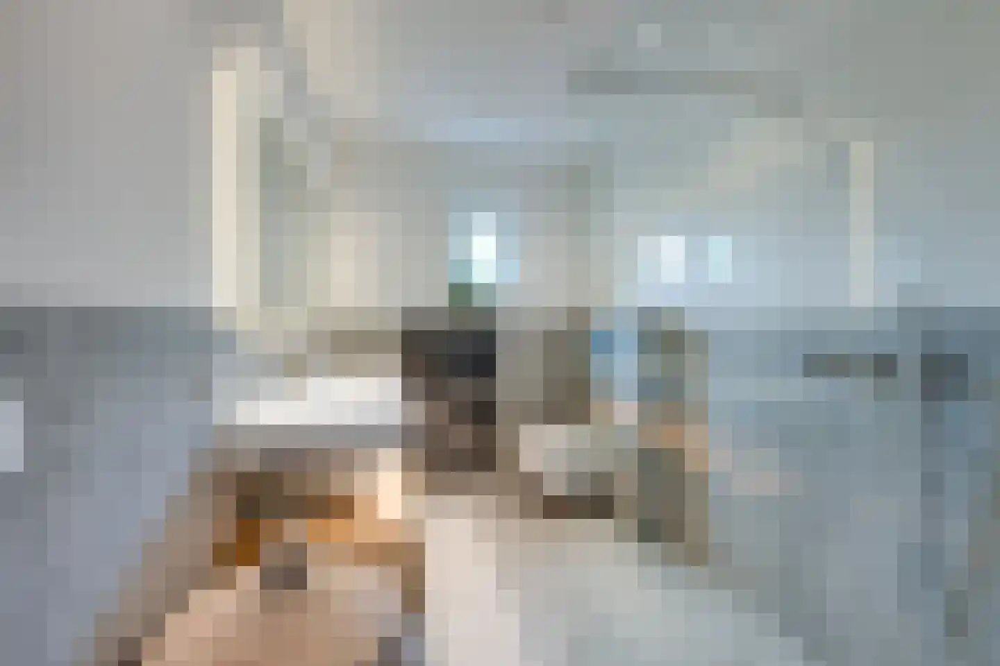 Dreef 14 Breda thumbnail 6