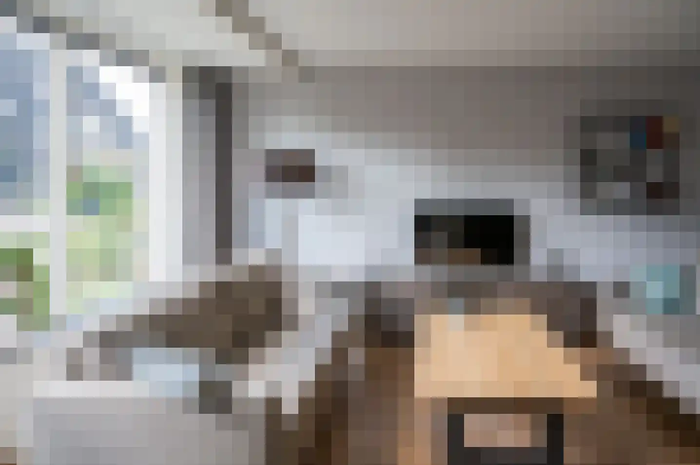 Dreef 14 Hengelo (Gld) thumbnail 11