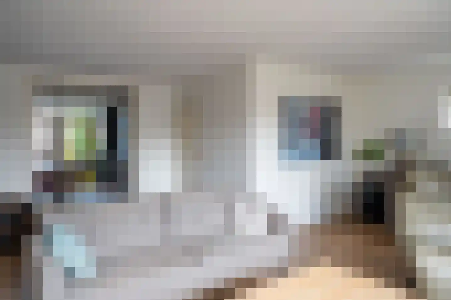 Dreef 14 Hengelo (Gld) thumbnail 12