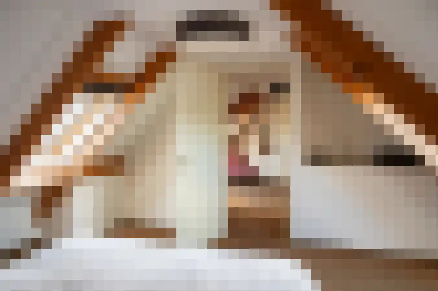 Dreef 14 Hengelo (Gld) thumbnail 26