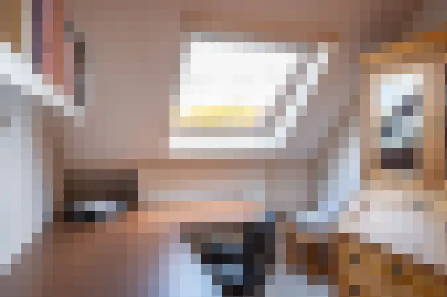Dreef 14 Hengelo (Gld) thumbnail 34