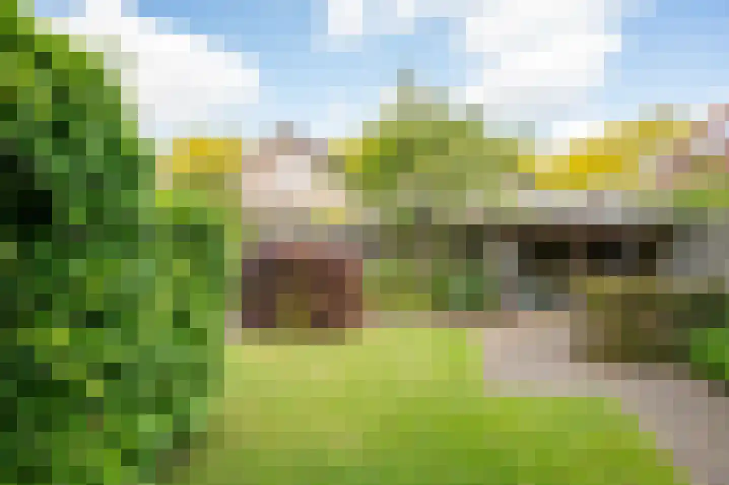 Dreef 14 Hengelo (Gld) thumbnail 46
