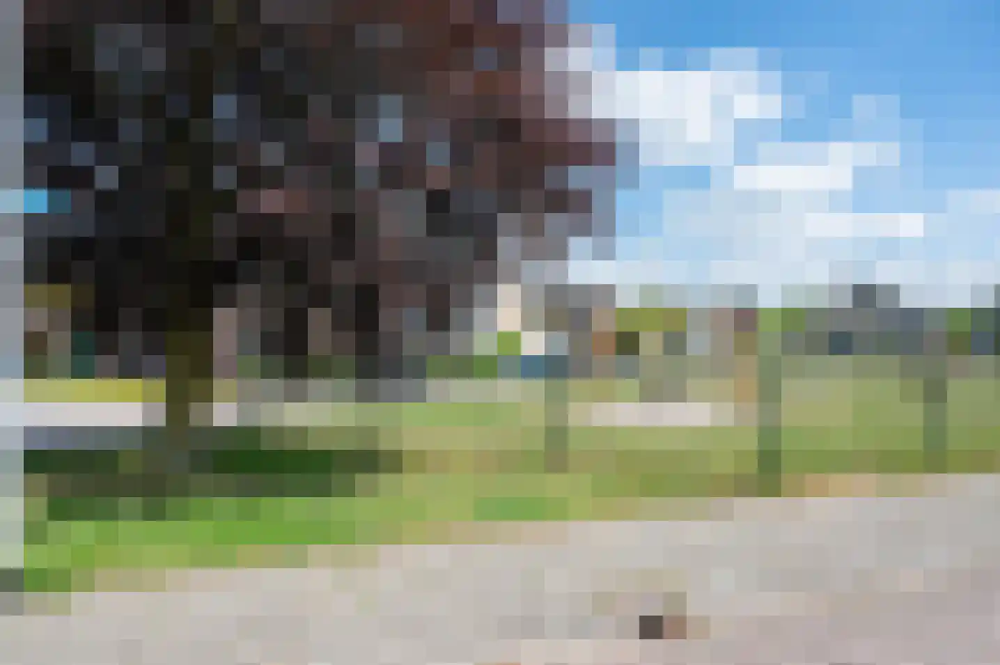 Dreef 14 Hengelo (Gld) thumbnail 50