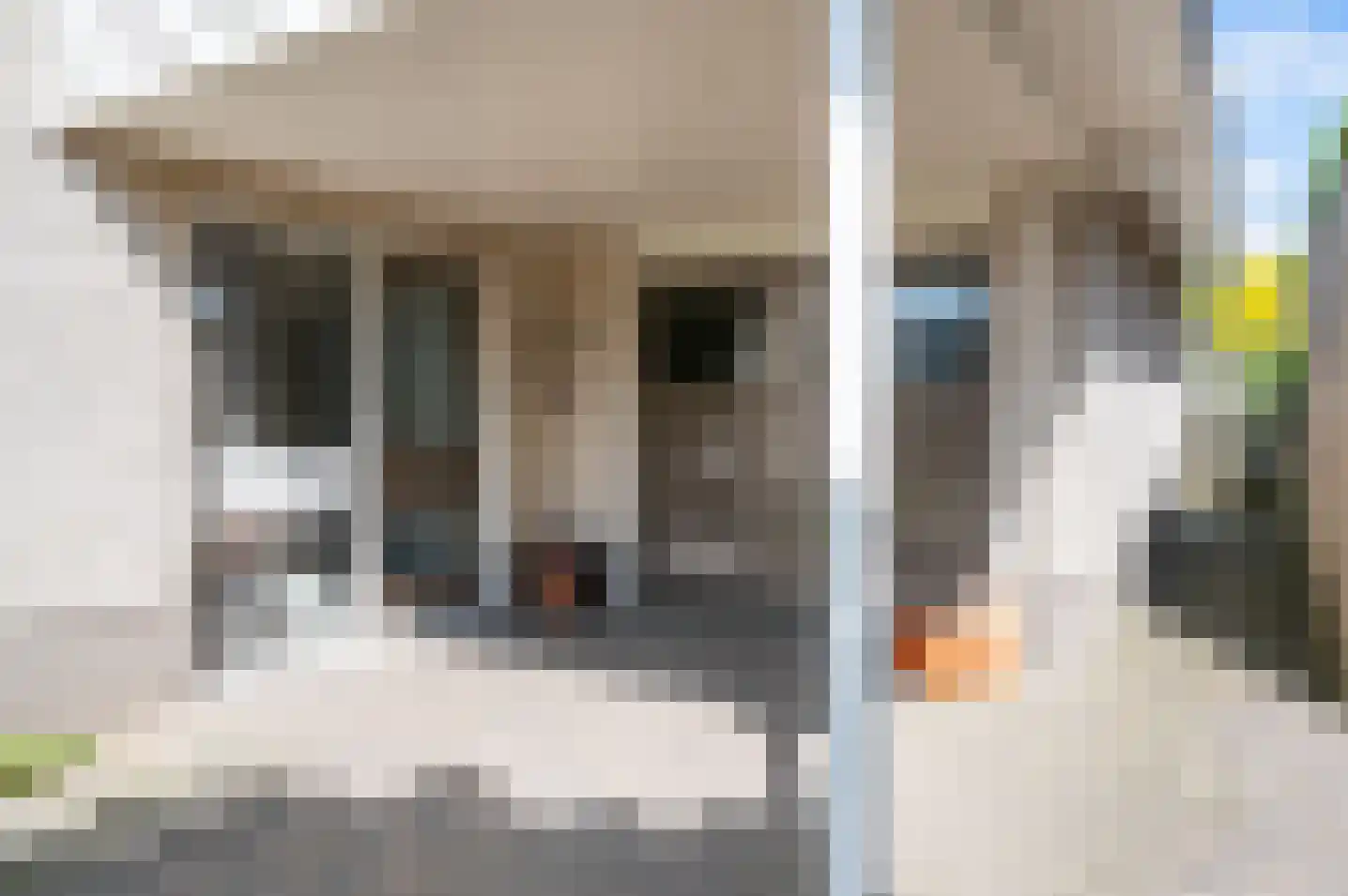Dreef 14 Hengelo (Gld) thumbnail 6