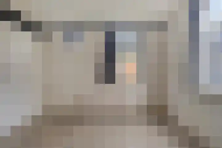 Dreef 14 Ovezande thumbnail 15