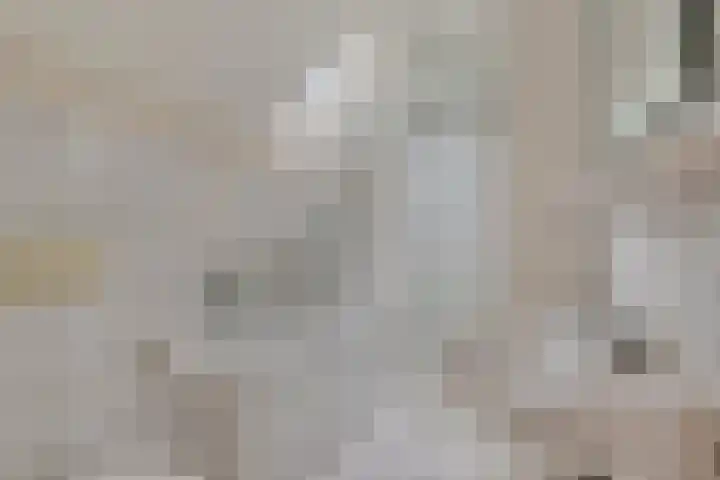 Dreef 14 Ovezande thumbnail 21