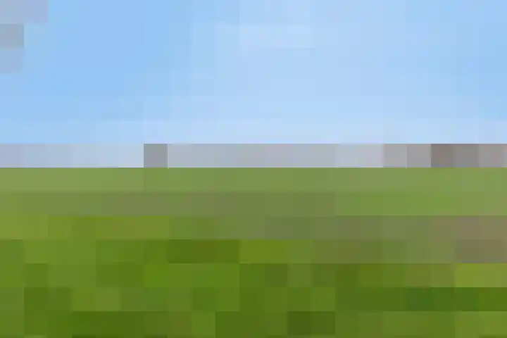 Dreef 14 Ovezande thumbnail 26