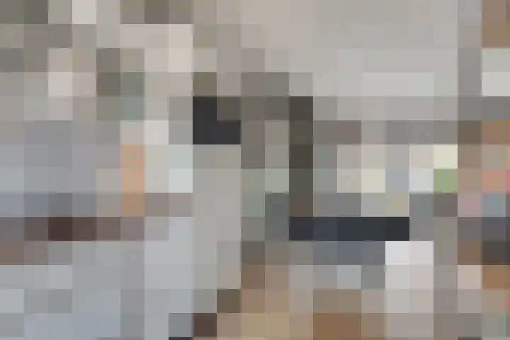 Dreef 144 Hellevoetsluis thumbnail 11