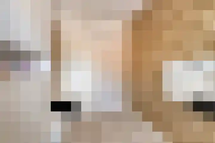Dreef 144 Hellevoetsluis thumbnail 14