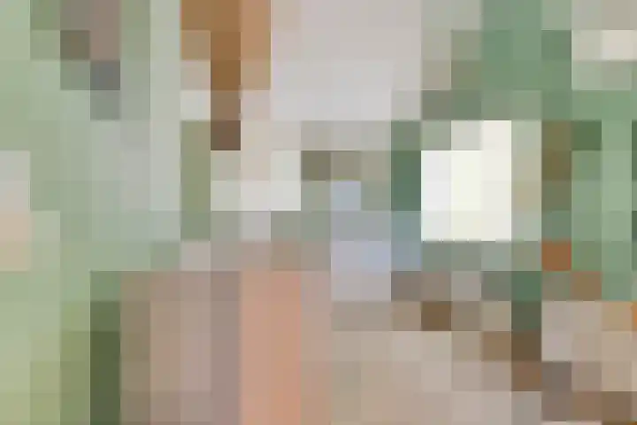 Dreef 144 Hellevoetsluis thumbnail 17