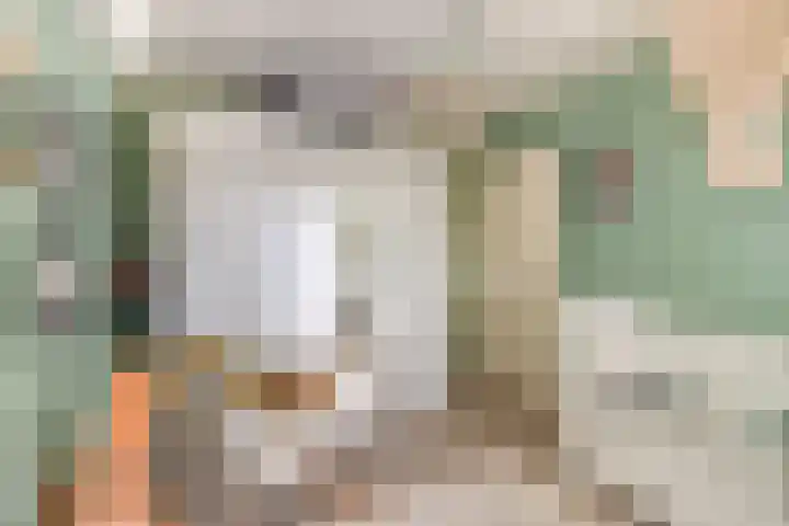 Dreef 144 Hellevoetsluis thumbnail 18