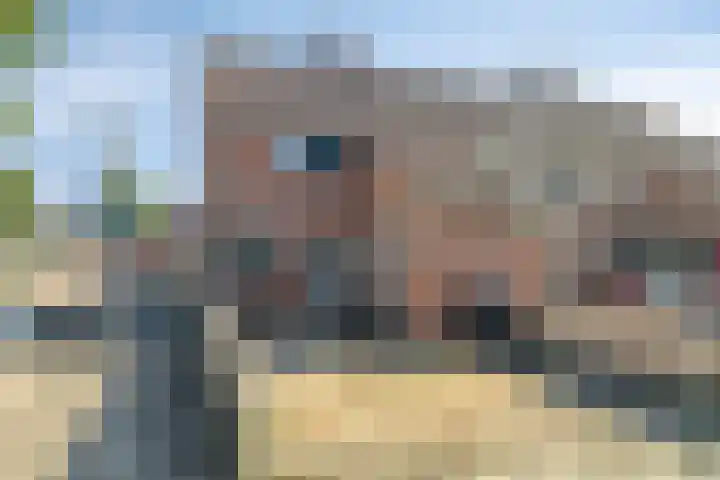 Dreef 144 Hellevoetsluis thumbnail 4