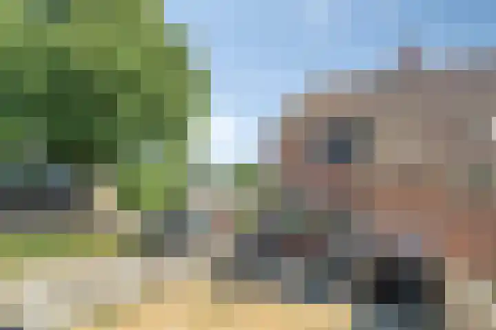 Dreef 144 Hellevoetsluis thumbnail 5