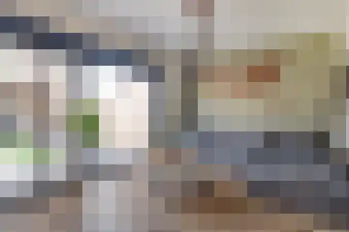Dreef 144 Hellevoetsluis thumbnail 7