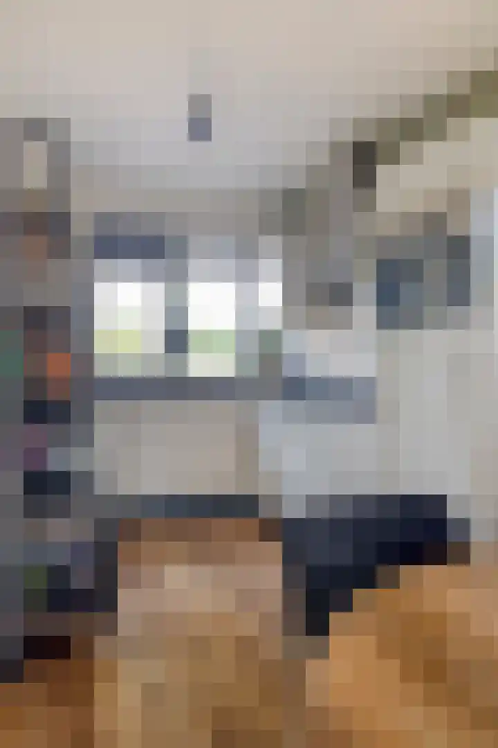 Dreef 144 Hellevoetsluis thumbnail 9