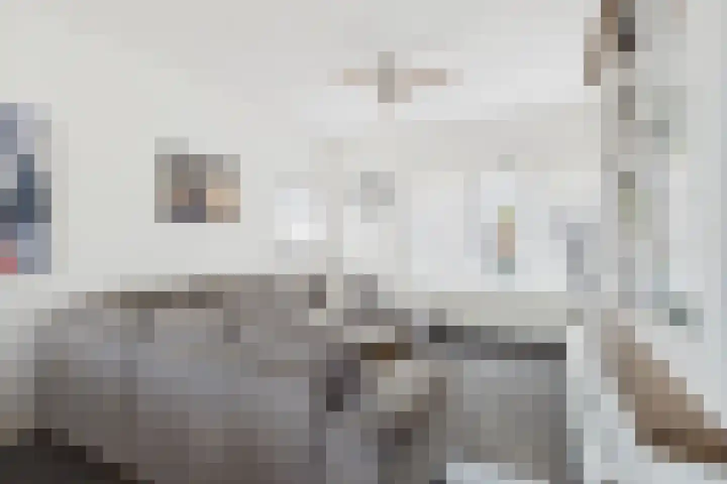 Dreef 15 Lamswaarde thumbnail 10