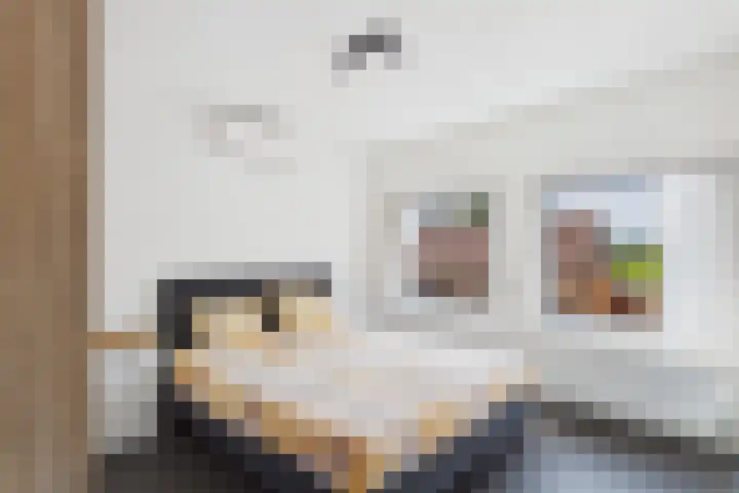 Dreef 15 Lamswaarde thumbnail 24