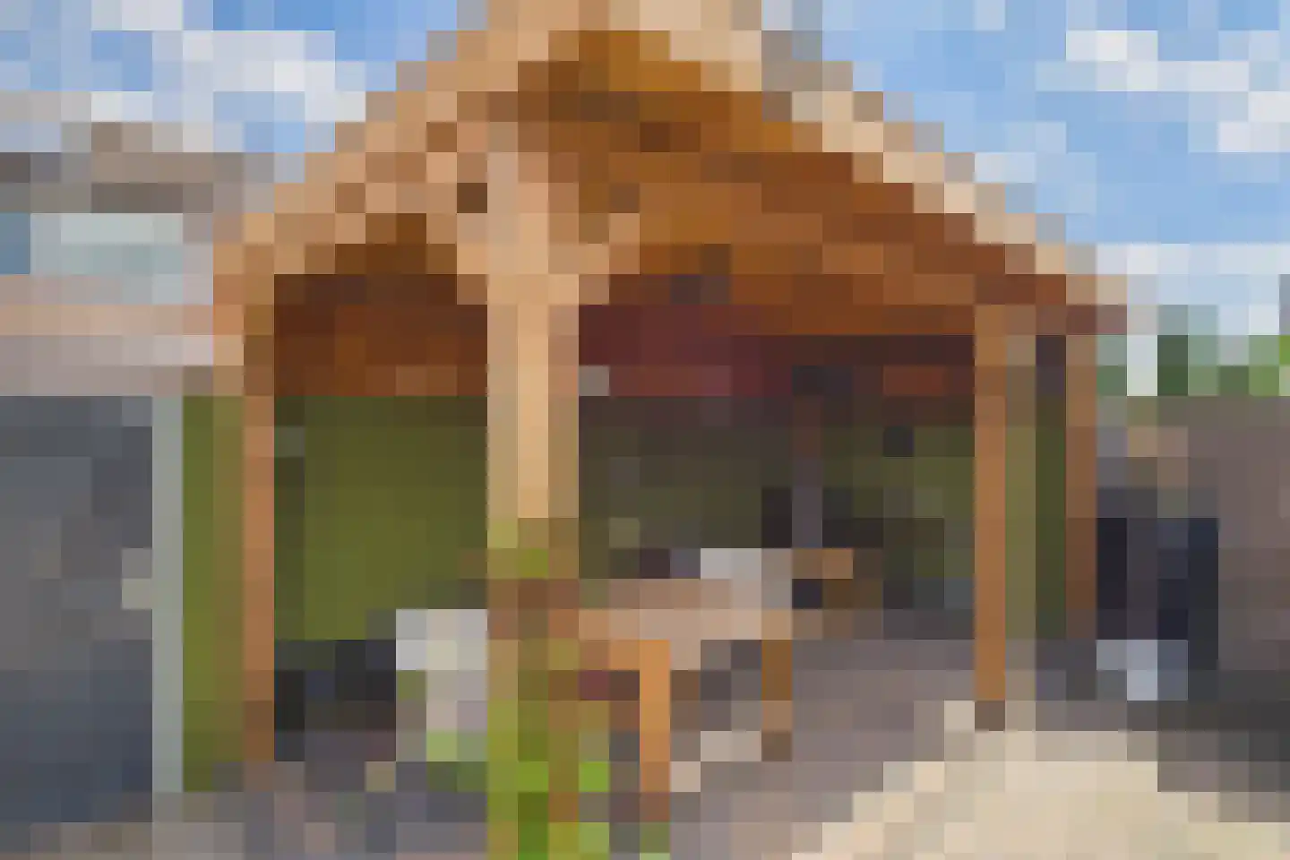 Dreef 15 Lamswaarde thumbnail 29