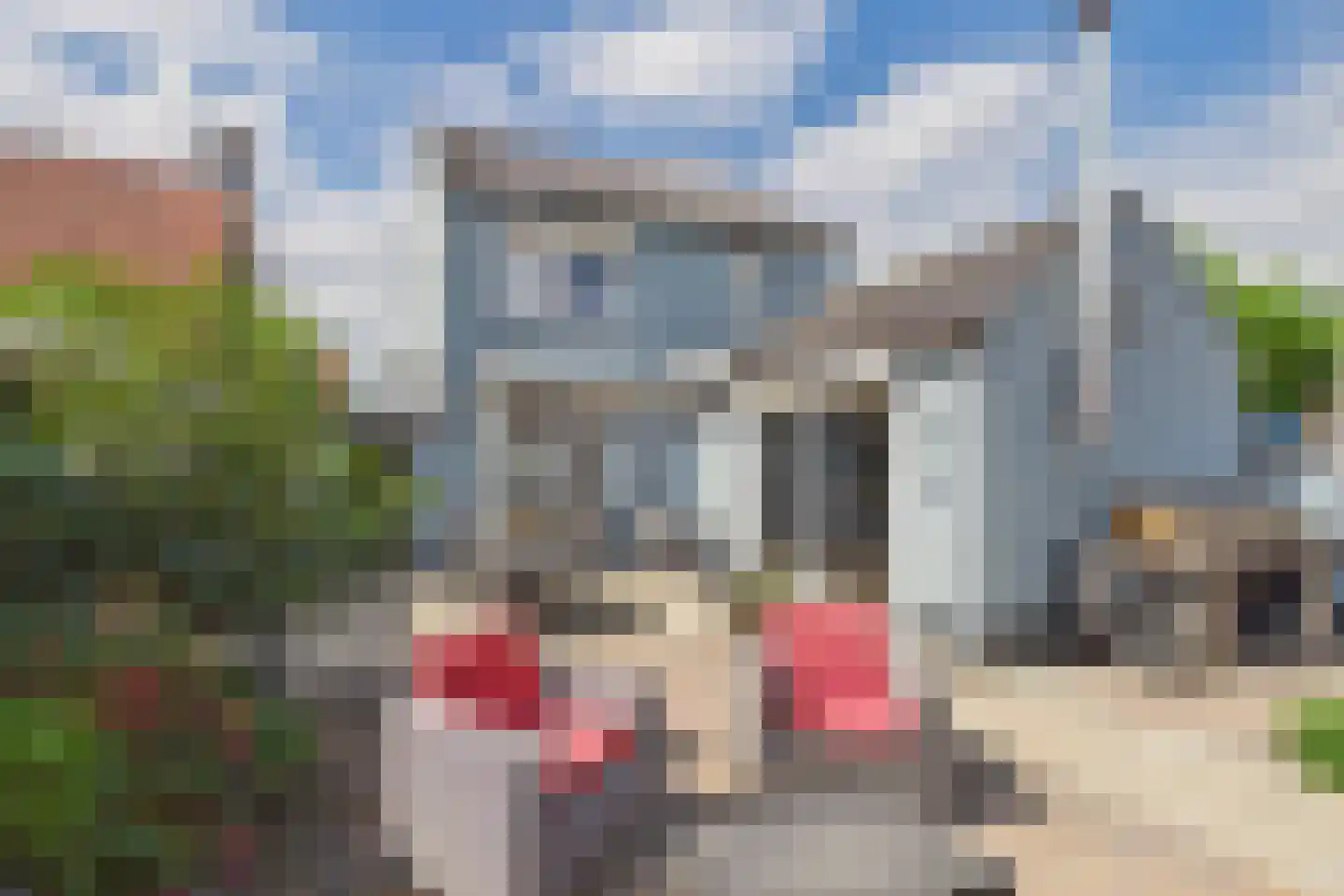 Dreef 15 Lamswaarde thumbnail 4