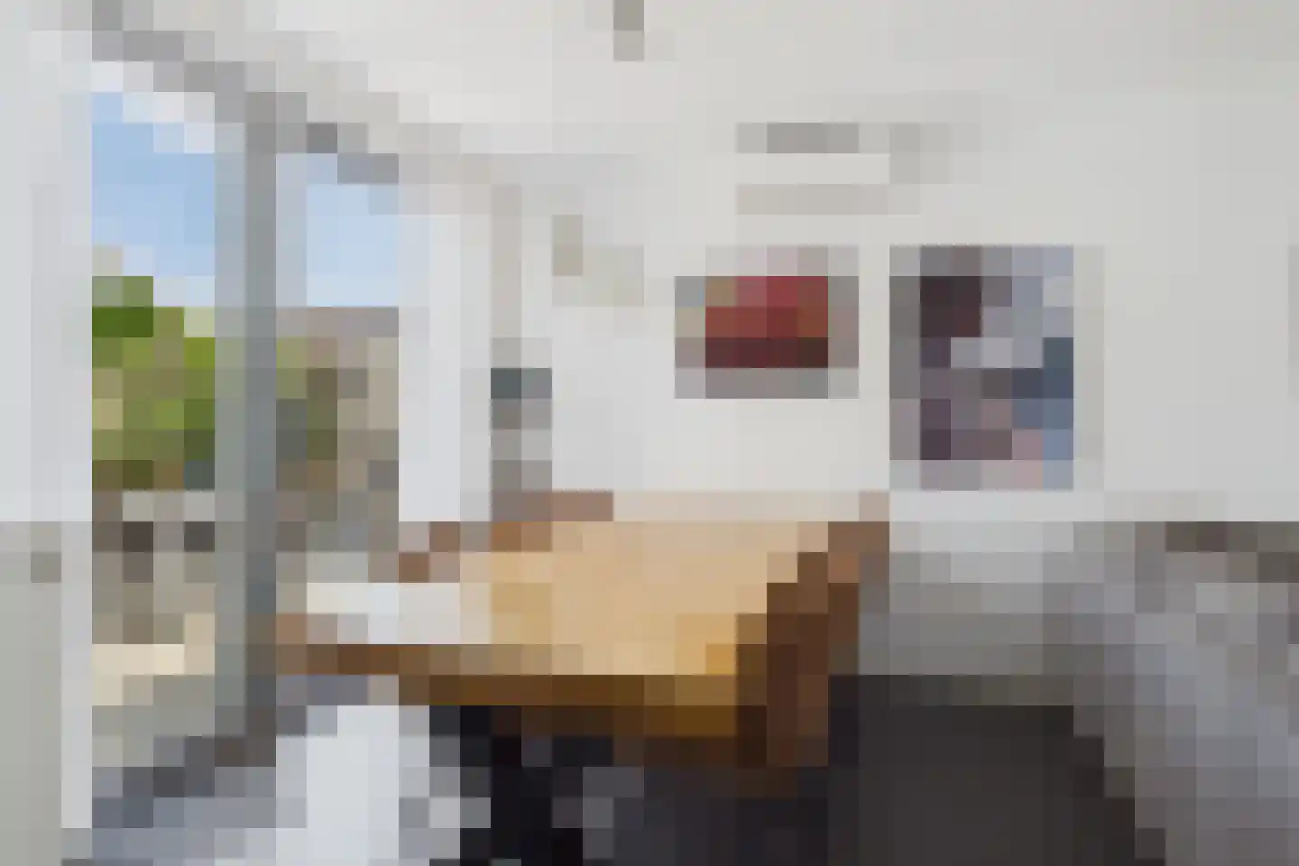 Dreef 15 Lamswaarde thumbnail 9