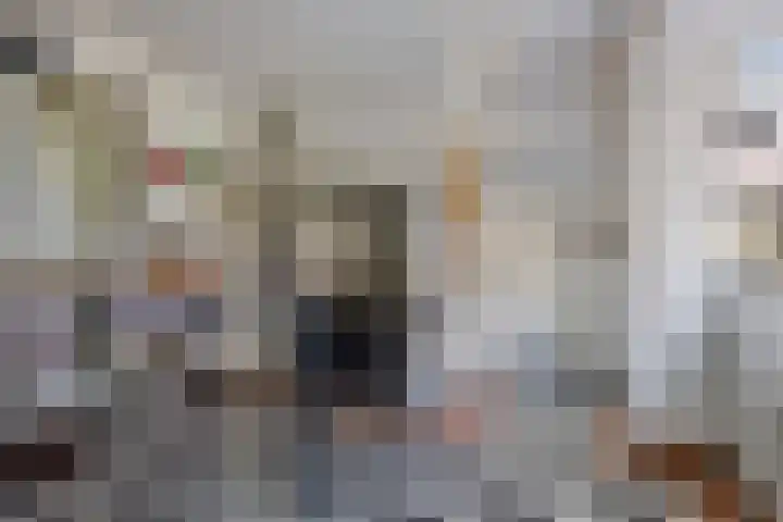 Dreef 15 Made thumbnail 11