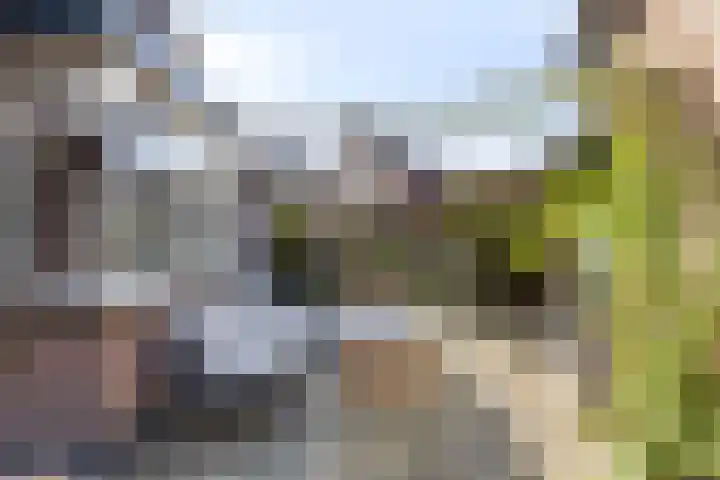 Dreef 15 Made foto 2