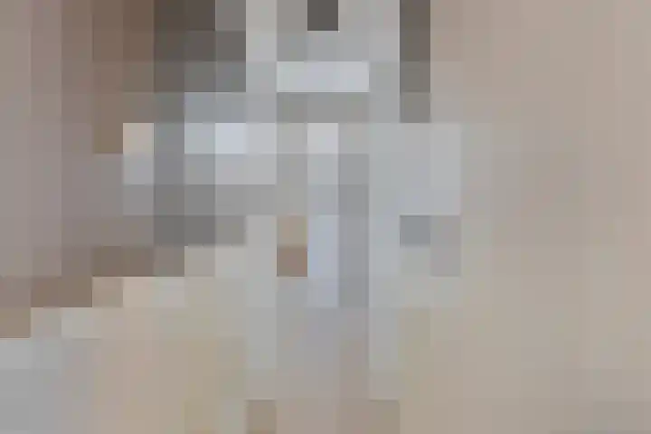 Dreef 15 Made thumbnail 20