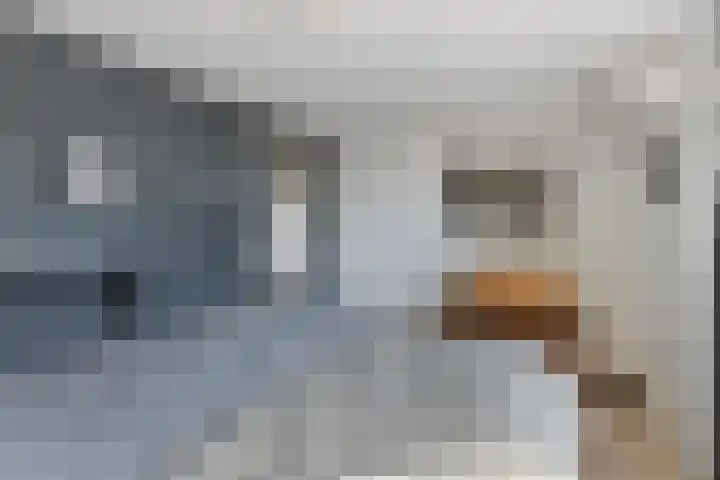 Dreef 15 Made thumbnail 23