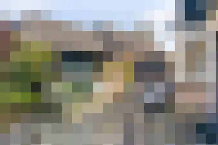 Dreef 15 Made thumbnail 24