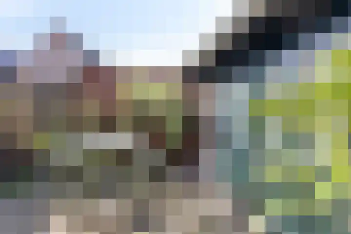 Dreef 15 Made thumbnail 25