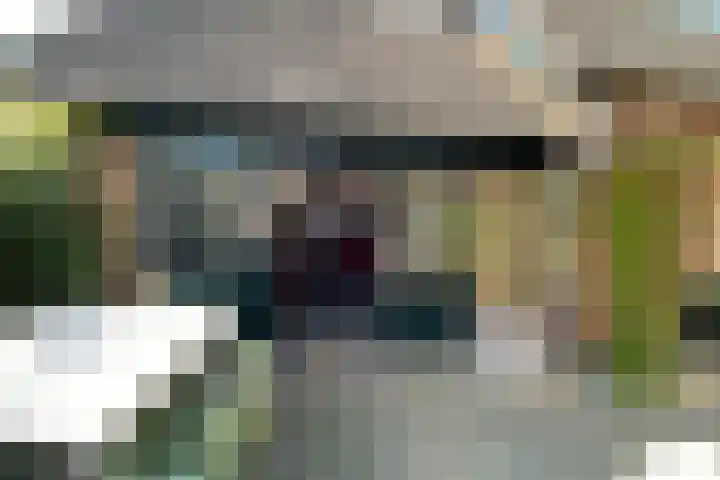 Dreef 15 Made thumbnail 26