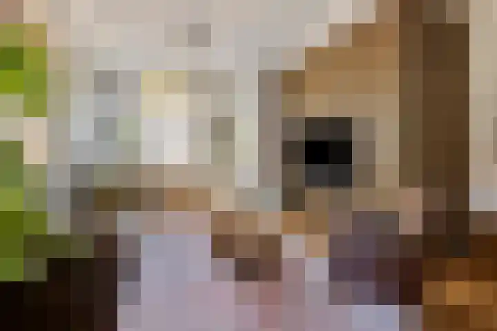 Dreef 15 Made foto 3