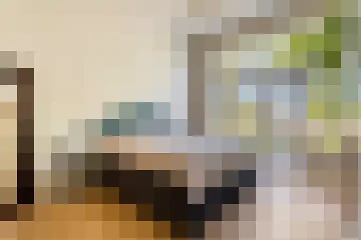 Dreef 15 Made thumbnail 33