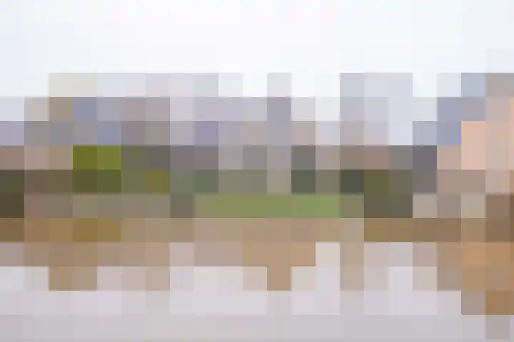 Dreef 15 Made thumbnail 34