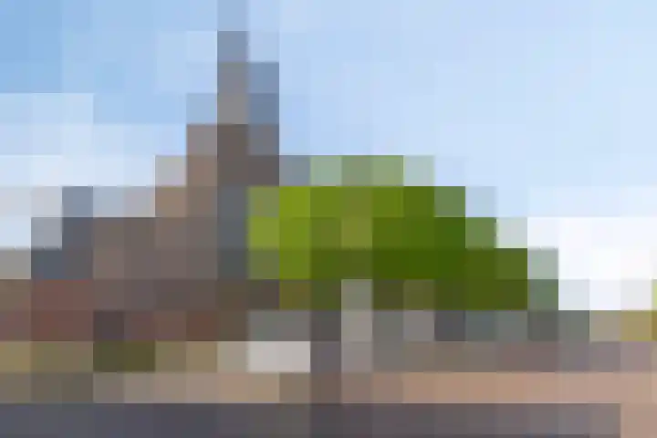 Dreef 15 Made thumbnail 37